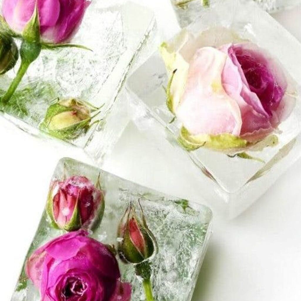 Infusion-fleurs-dans-glacon Kit Moules à Glaçon Infusion Cocktail – Image 3
